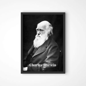 Quadro Charles Darwin Loja Nerd2