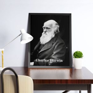 Alternative view of Quadro Charles Darwin